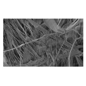 materia filtrante de PTFE 1