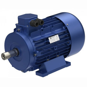 motor trifásico