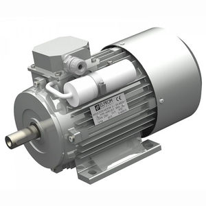 motor con condensador permanente y de arranque / monofásico / asíncrono / 220V