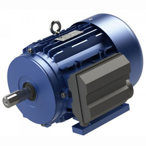 motor monofásico / asíncrono / 220V / 110 V