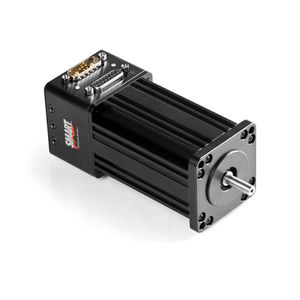 servomotor brushless