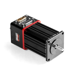 servomotor brushless
