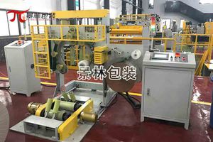 máquina de acondicionamiento controlada por PLC / con film / de bobinas