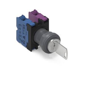 interruptor de llave