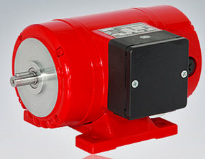 motor DC / síncrono / de rotor bobinado / de excitación independiente