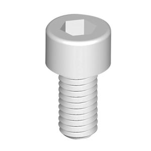 tornillo de cabeza cilíndrica / Allen / de poliamida