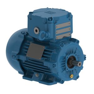 motor trifásico