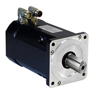 servomotor brushless 1