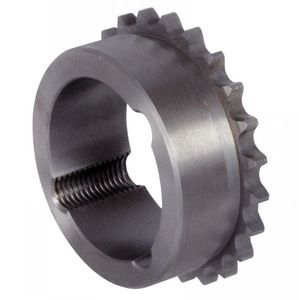 piñón de cadenas 1