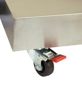 balanza electrónica 1