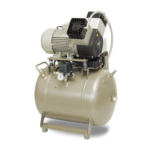 compresor de aire / portátil / con motor eléctrico / de pistón