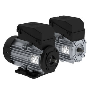 motor AC 1