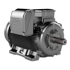 motor AC 1
