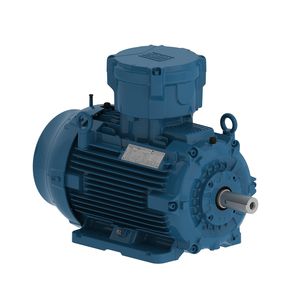 motor trifásico 1