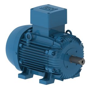 motor trifásico 1