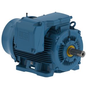 motor trifásico 1