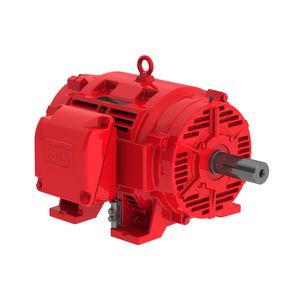 motor trifásico 1