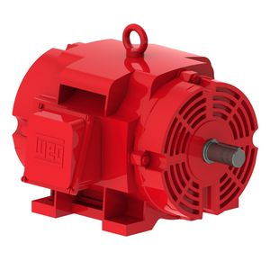 motor trifásico 1