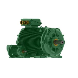 motor trifásico 1