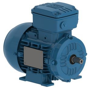 motor trifásico 1