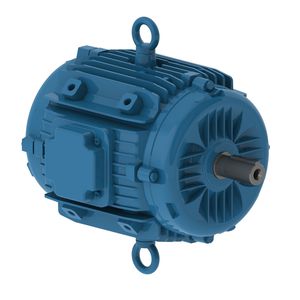 motor trifásico 1