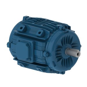 motor trifásico 1