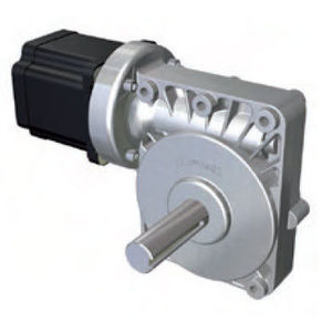 motorreductor DC 1