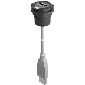 conector eléctrico USB