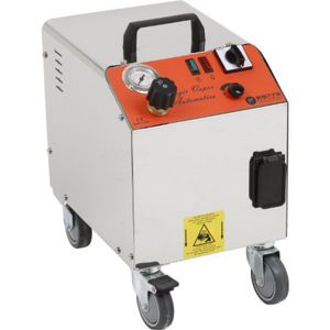 generador de vapor de agua caliente