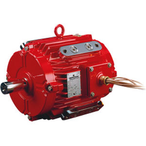 motor asíncrono