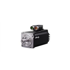 servomotor brushless 1