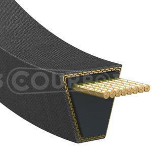 correa trapezoidal 1