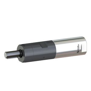 motor neumático con paleta 1