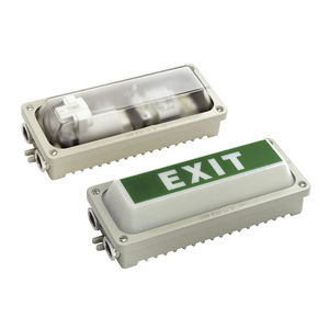 luz de emergencia