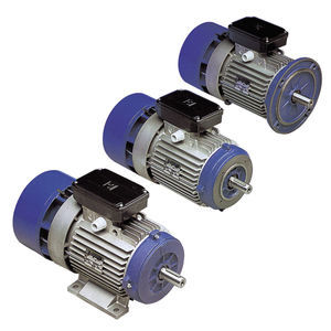 motor autofrenante