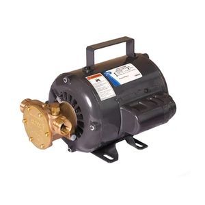 bomba de rotor 1