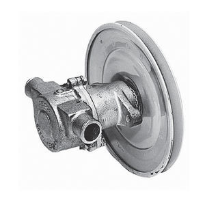 bomba de rotor 1