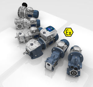 motorreductor