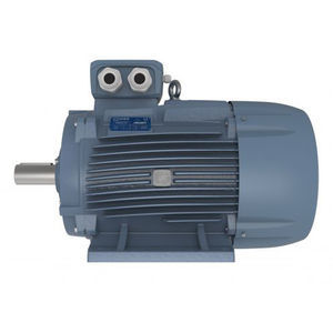 motor trifásico