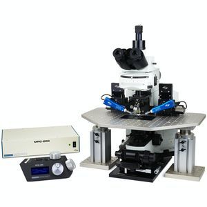 sistema patch-clamp 1