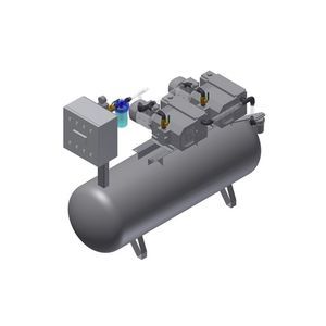 grupo de vacío lubricado 1