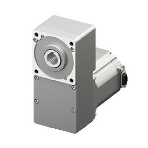 motor brushless 1