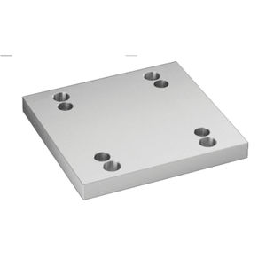 placa de fijación modular 1