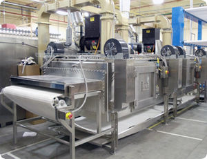 horno de túnel 1