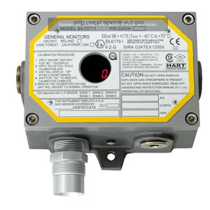 detector de gas 1