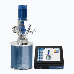 reactor con autoclave a alta presión