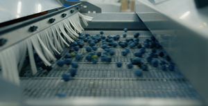 línea de clasificación y alimentación 1