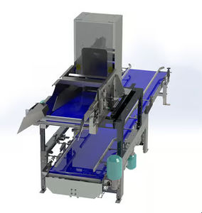 máquina de llenado de cajas 1