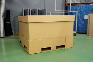 caja 1