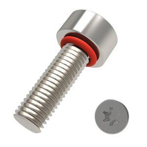 tornillo de fijación 1